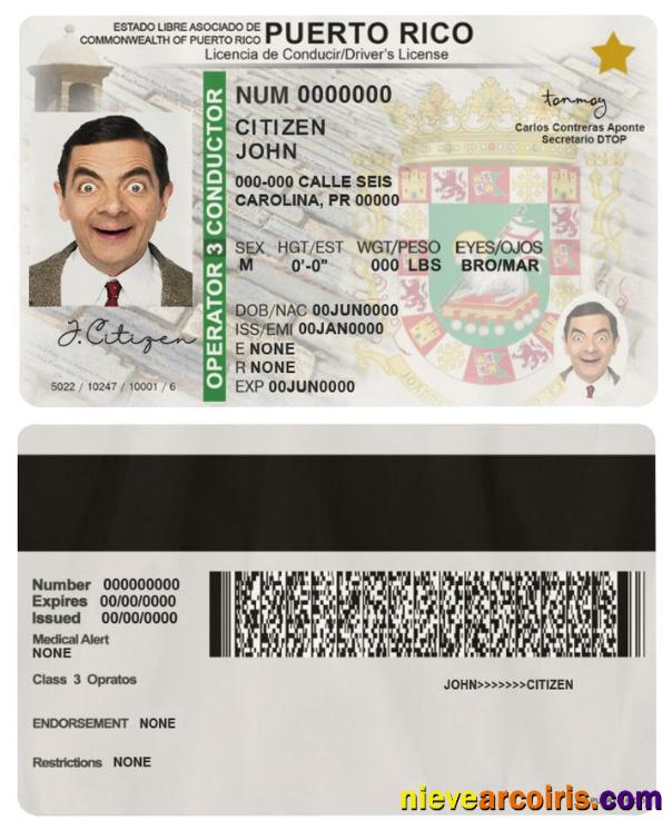 Puerto Rico Driving License Sample