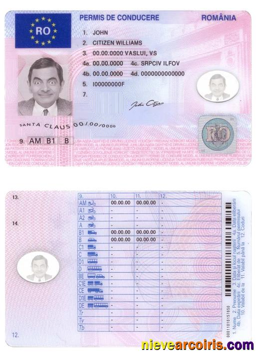 Romania Driving License Preview