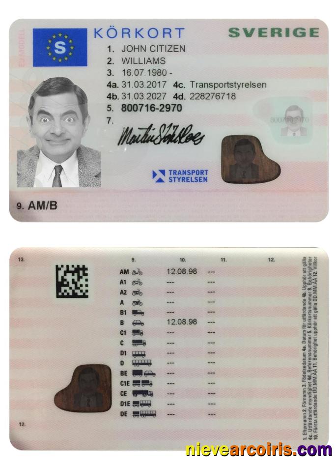 SWEDEN Driving License (2016 Present) Photolook