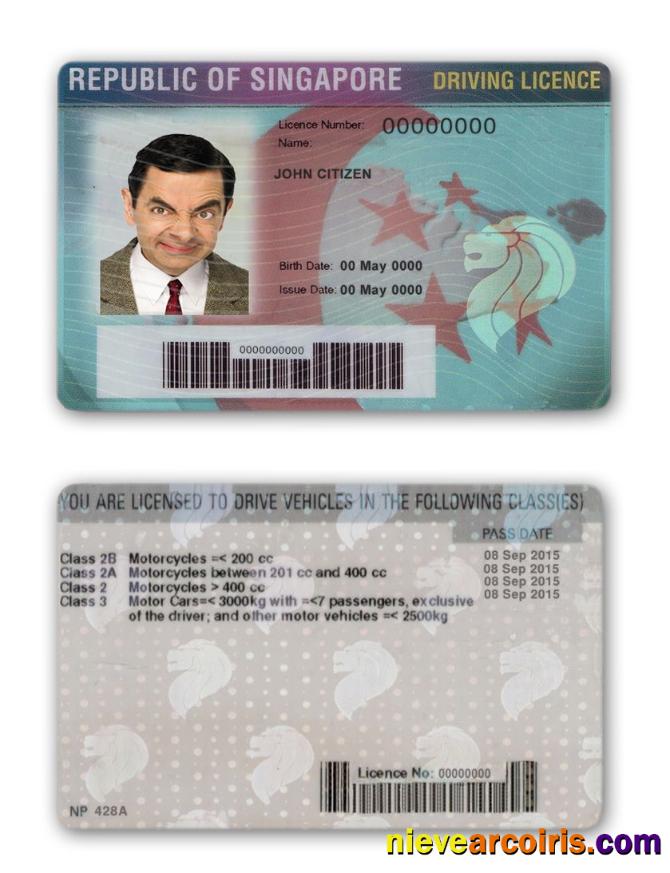 Singapore Driving License Photolook