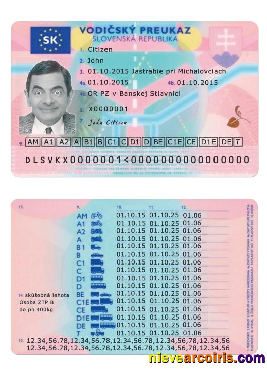 Slovakia Driving License Preview