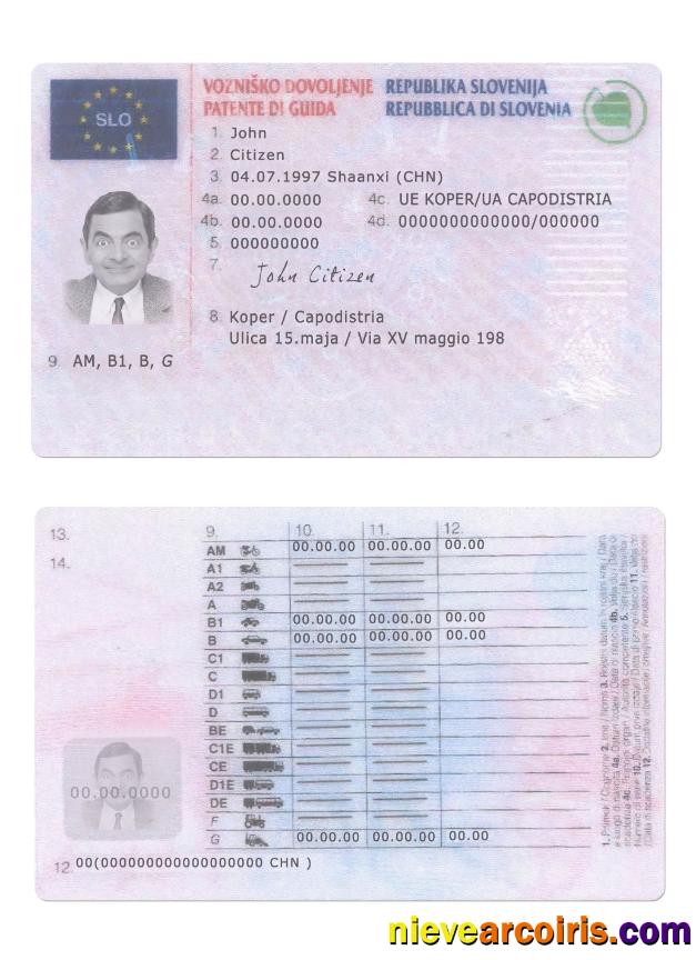 Slovenia Driving License Template