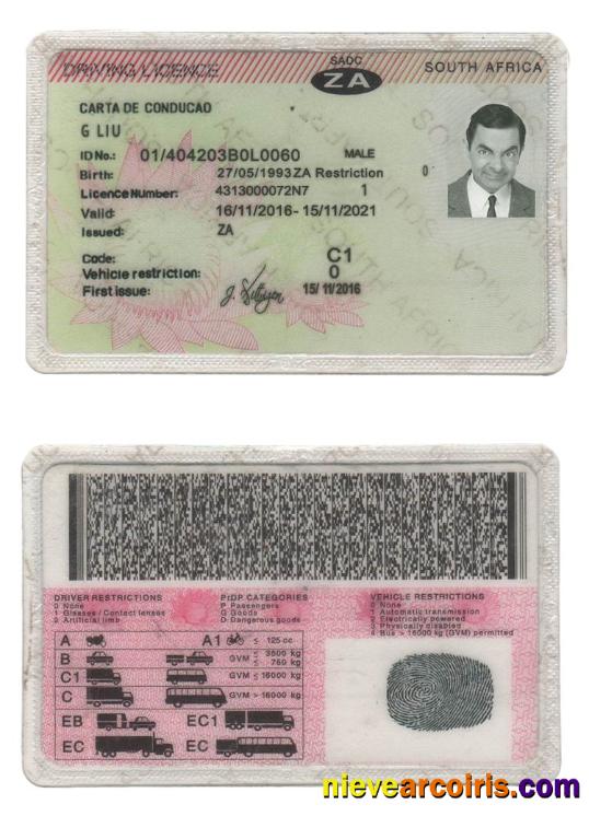 South Africa Driving License Preview
