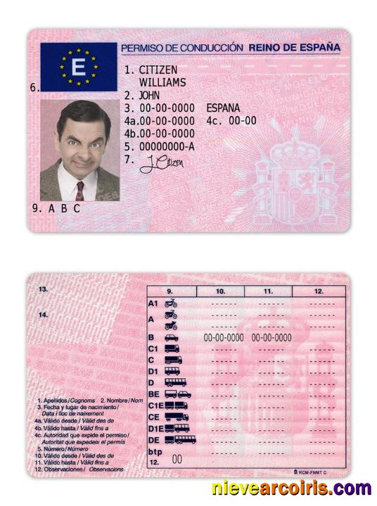 Spain Driving License Sample
