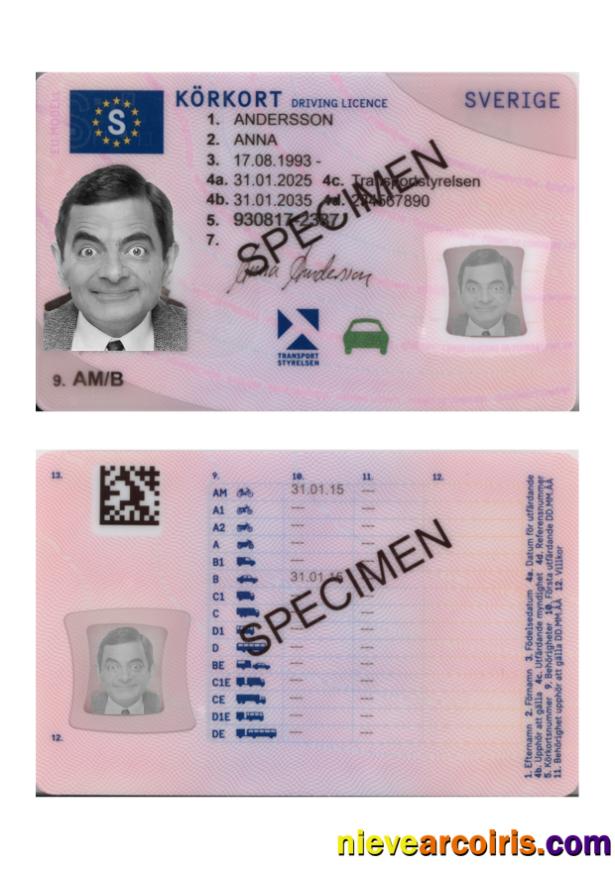 Sweden Driving License 2025 Present Photolook
