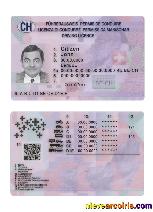 Switzerland Driving License 2023 Present Sample