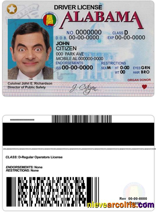 USA Alabama Driving License Preview