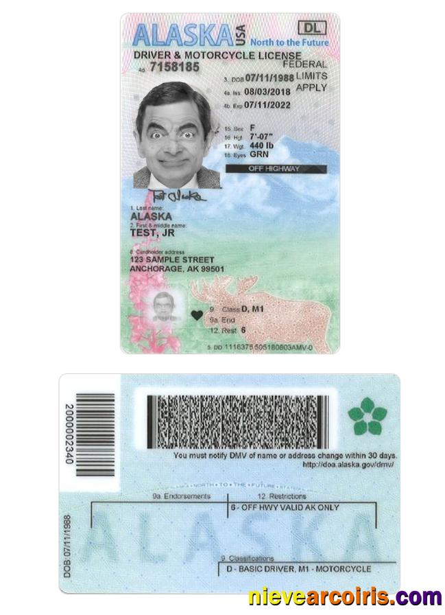 USA Alaska Under 21 Driving License Preview