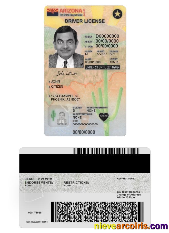 USA Arizona Driving License Under 21 Version 2 Sample