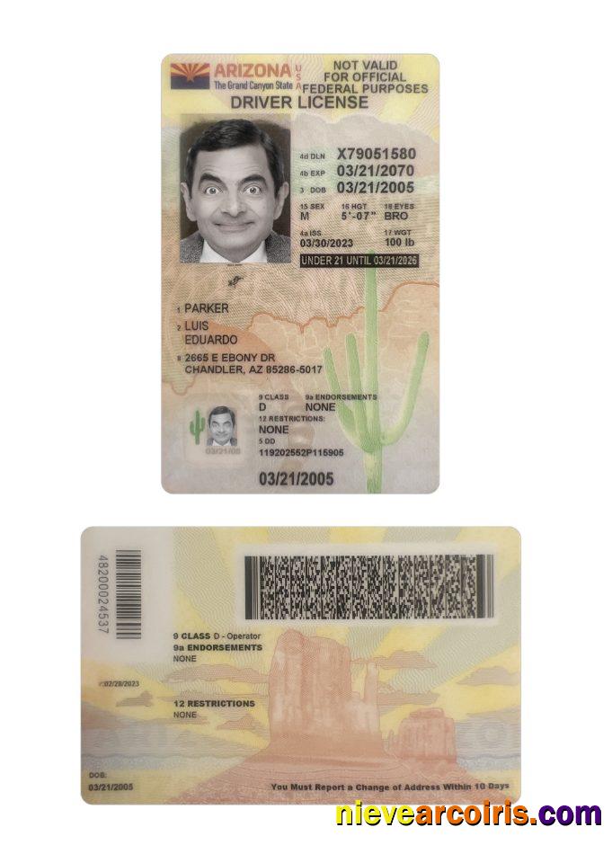 USA Arizona Under 21 Driving License 2023 Present Template