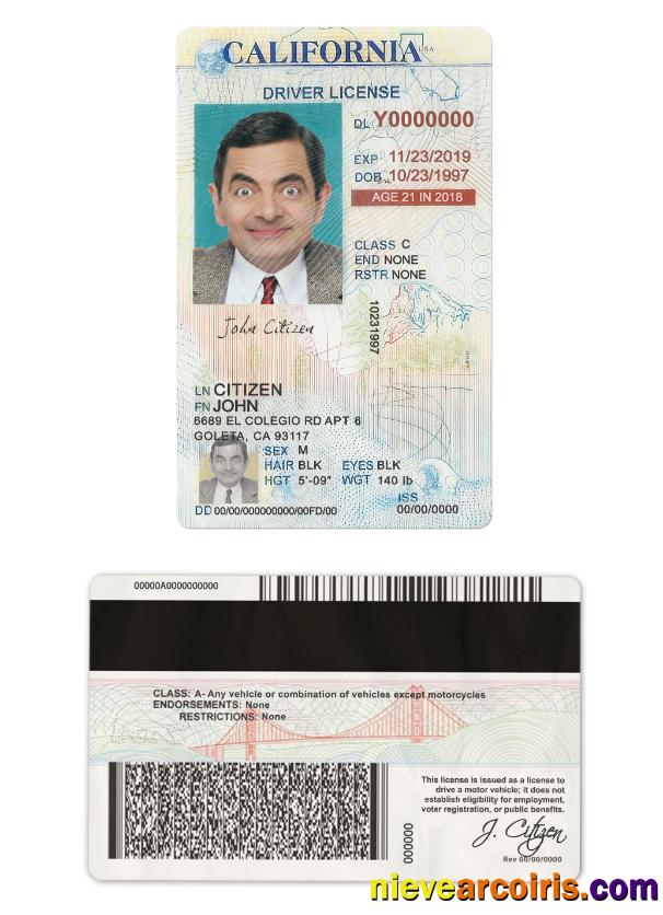 USA California Driving License Under 21 Template