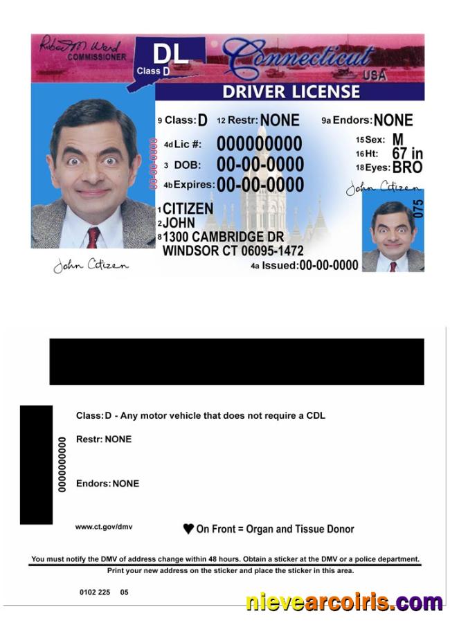 USA Connecticut Driving License Version 2 Sample