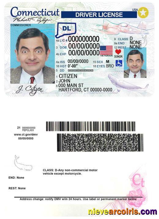 USA Connecticut Driving License Photolook