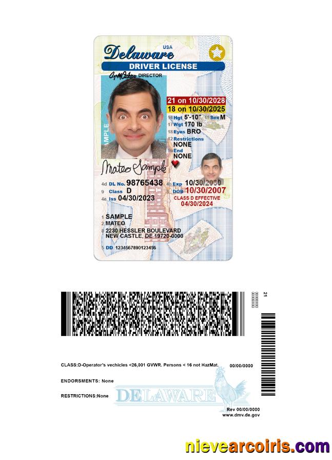 USA Delaware Under 21 Driving License Photolook