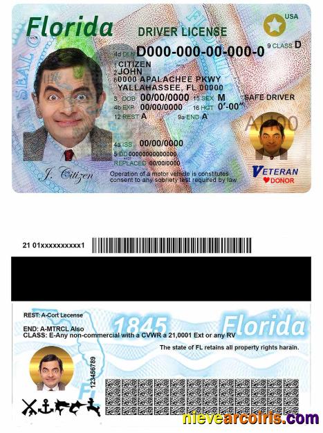 USA Florida Driving License Template