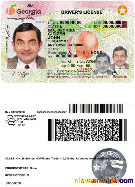 USA Georgia Driving License (2017 2019) Photolook