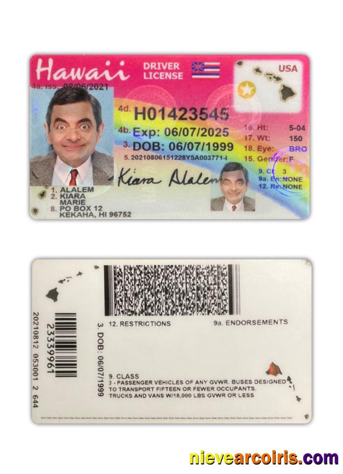 USA Hawaii Driving License 2021 Present Photolook