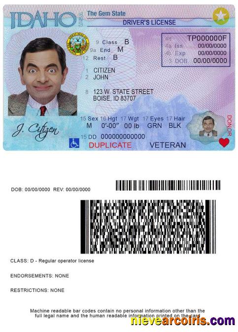 USA Idaho Driver License Photolook