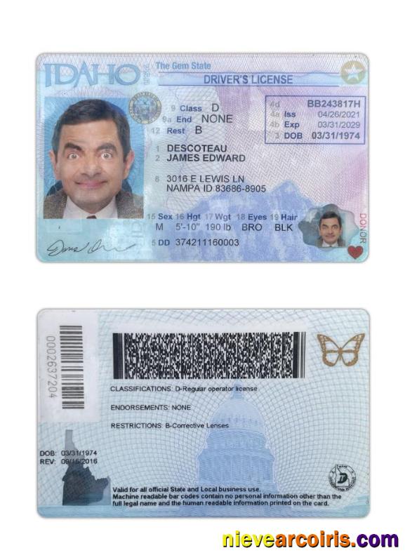 USA Idaho Driving License 2021 Present Sample