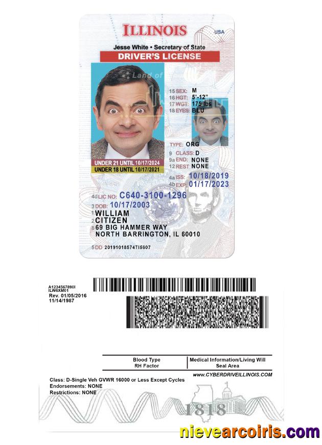 USA Illinois Driving License Under 21 Preview