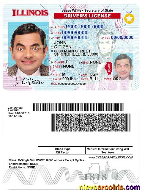USA Illinois Driving License Photolook