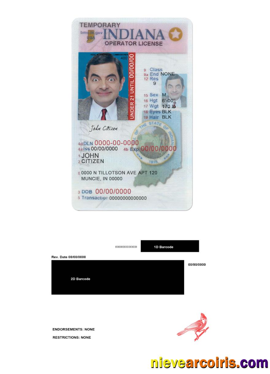 USA Indiana Driving (operator) License Under 21 Template