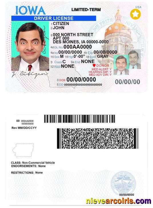 USA Iowa Driving License Preview