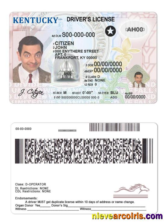 USA Kentucky Driving License Preview