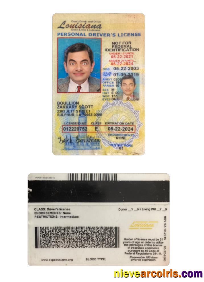 USA Louisiana Under 21 Driving License Preview