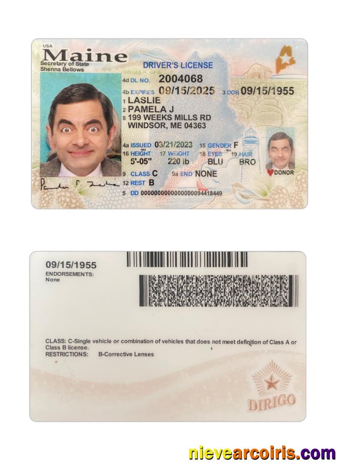USA Maine Driving License 2023 Present Template