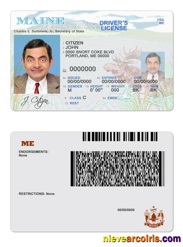 USA Maine State Driving License Preview