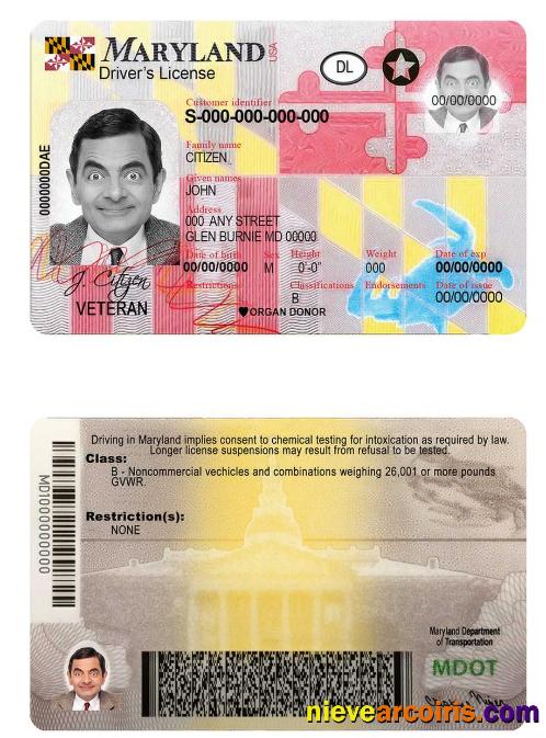 USA Maryland Driving License Preview