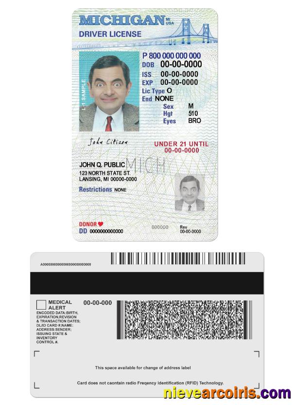 USA Michigan Driving License Under 21 Template