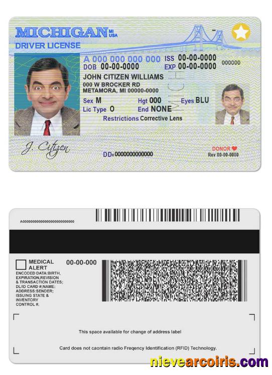 USA Michigan Driving License Preview