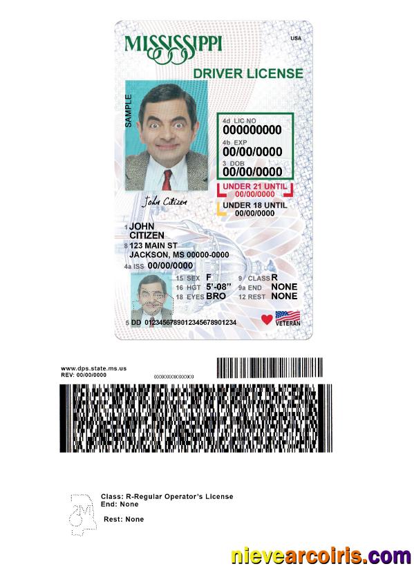 USA Mississippi Driving License Under 21 Template
