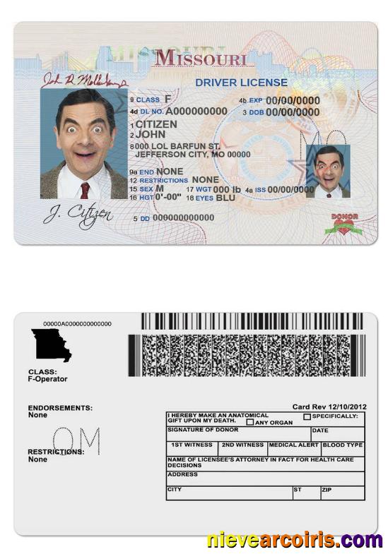 USA Missouri Driving License Sample
