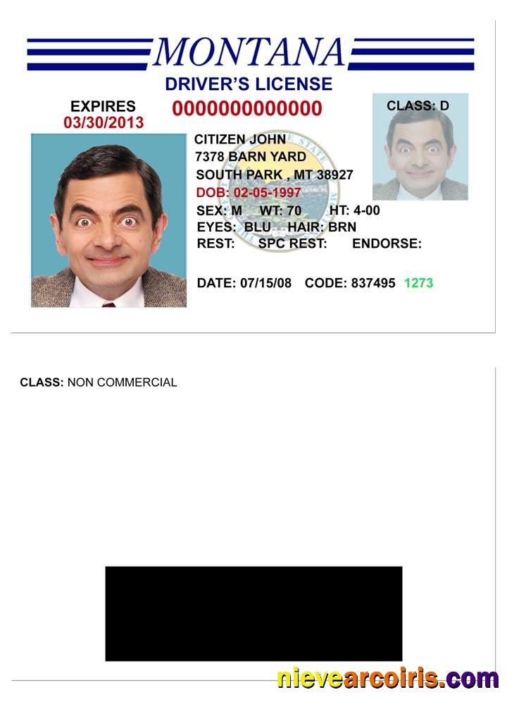 USA Montana Driving License Version 3 Photolook