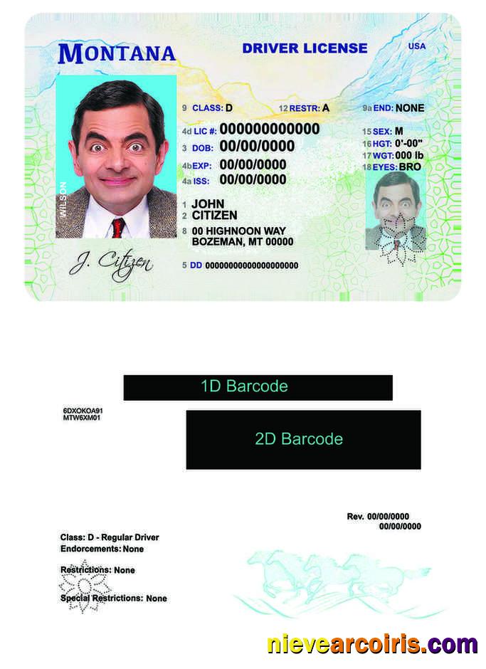 USA Montana Driving License Template