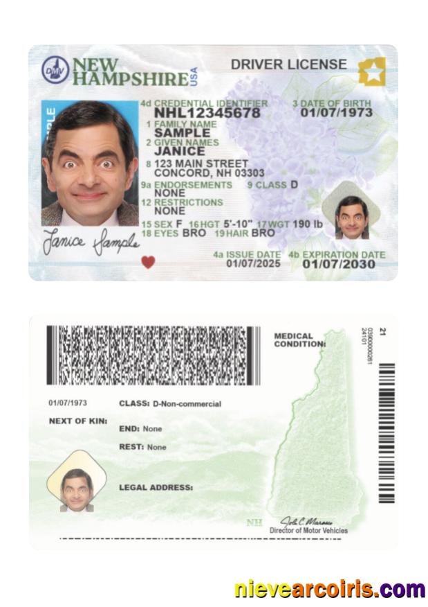 USA New Hampshire Driving License 2025 Present Photolook