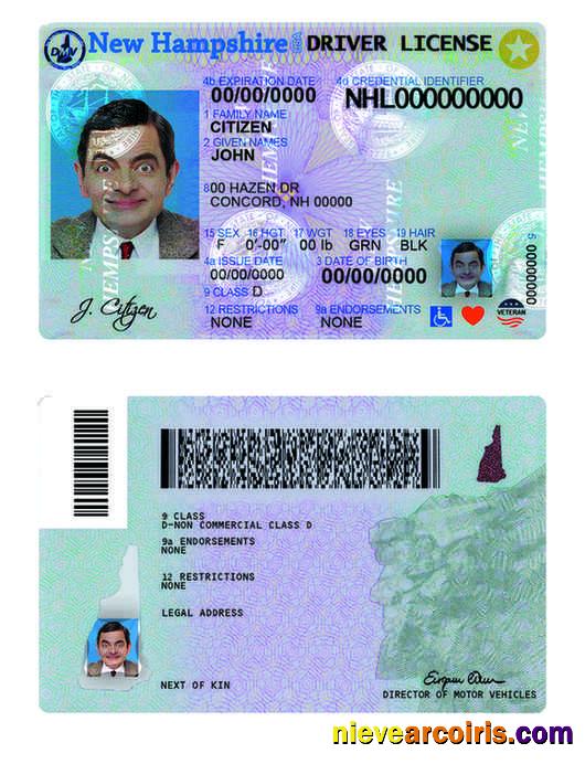 USA New Hampshire Driving License Preview