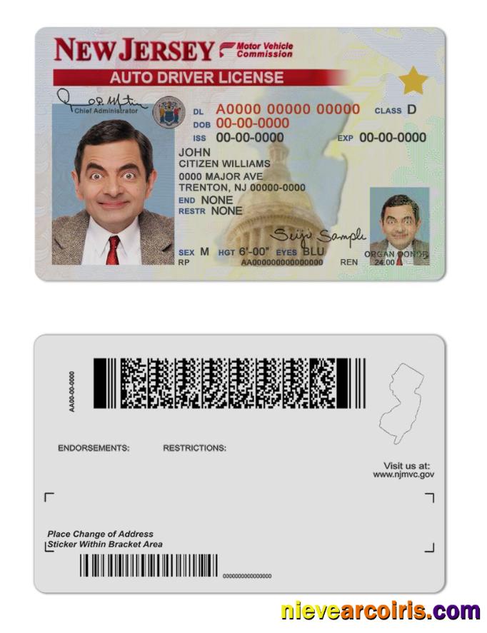 USA New Jersey Driving License Photolook