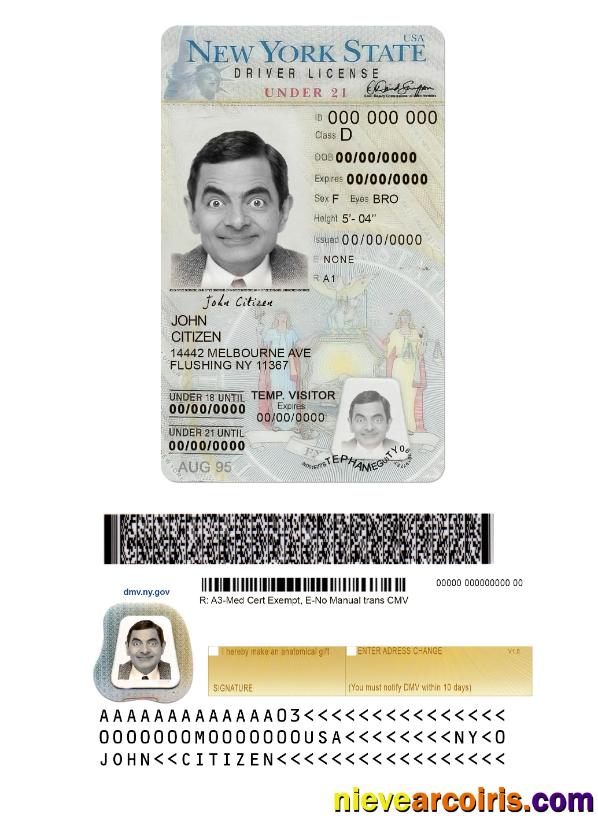USA New York Driving License Under 21 Template