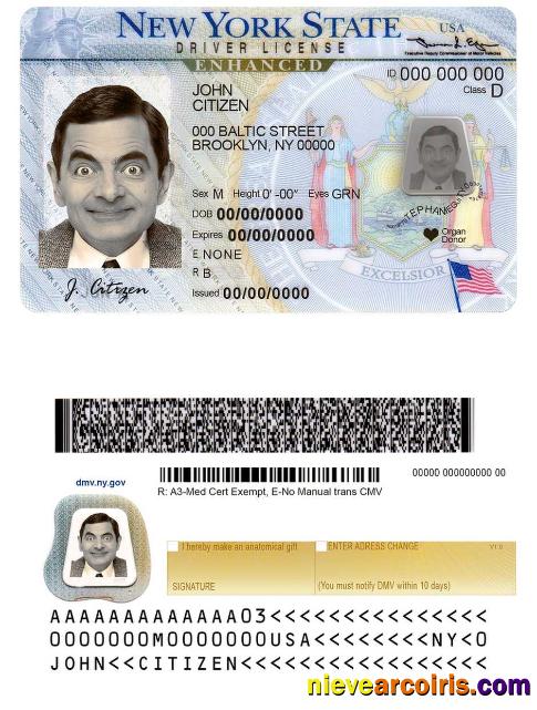 USA New York Driving License Template