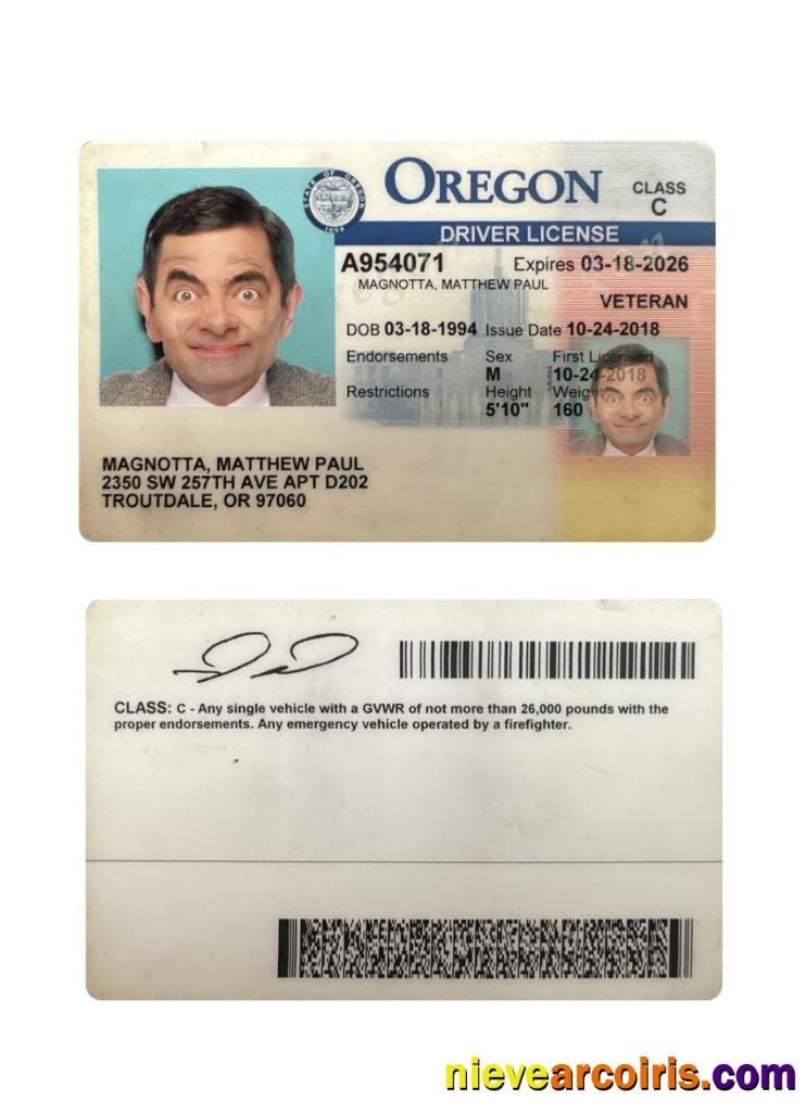 USA Oregon Driving License 2018 Present Photolook