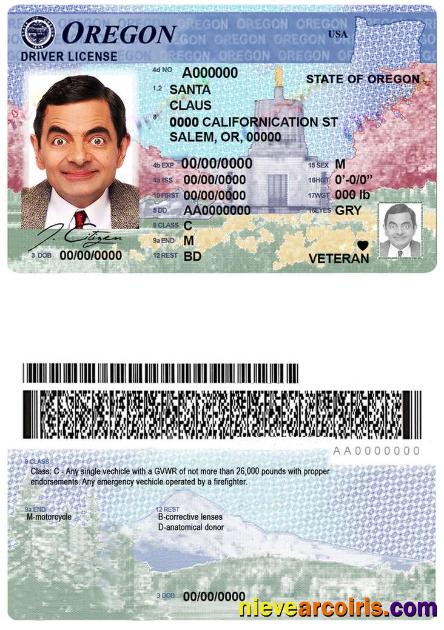 USA Oregon State Driving License Preview