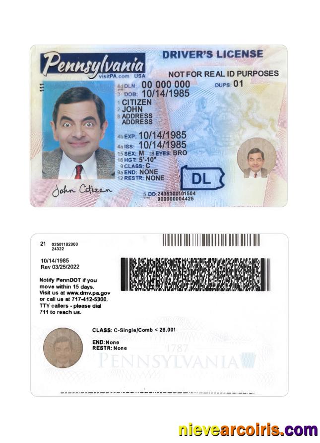 USA Pennsylvania Driving License 2024 Present Template