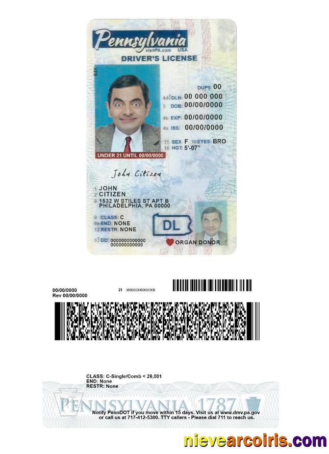 USA Pennsylvania Driving License Under 21 Template