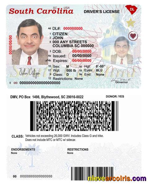 Professional USA South Carolina State Driving License Template In PSD Format (2020 – Present)