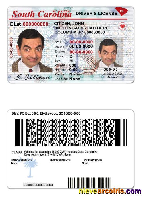 USA South Carolina State Driving License Preview