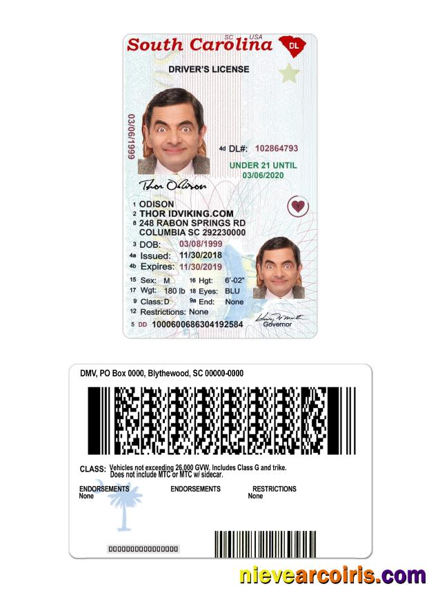 USA South Carolina Under 21 Driving License Sample